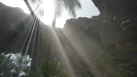 Big-Palms-in-Stone-Cave-with-Rays-of-Sunlight